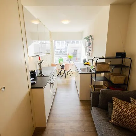 公寓 Stylish 50m2 Two-bedroom - Sd23k 埃因霍温