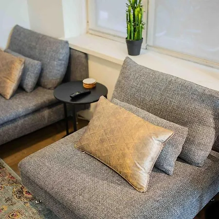 公寓 Stylish 50m2 Two-bedroom - Sd23k 埃因霍温